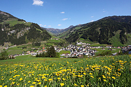 bauernherbst großarl