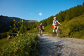 bauernherbst großarl