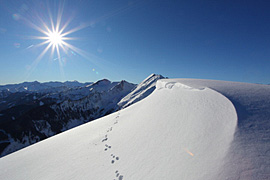 winterurlaub großarl